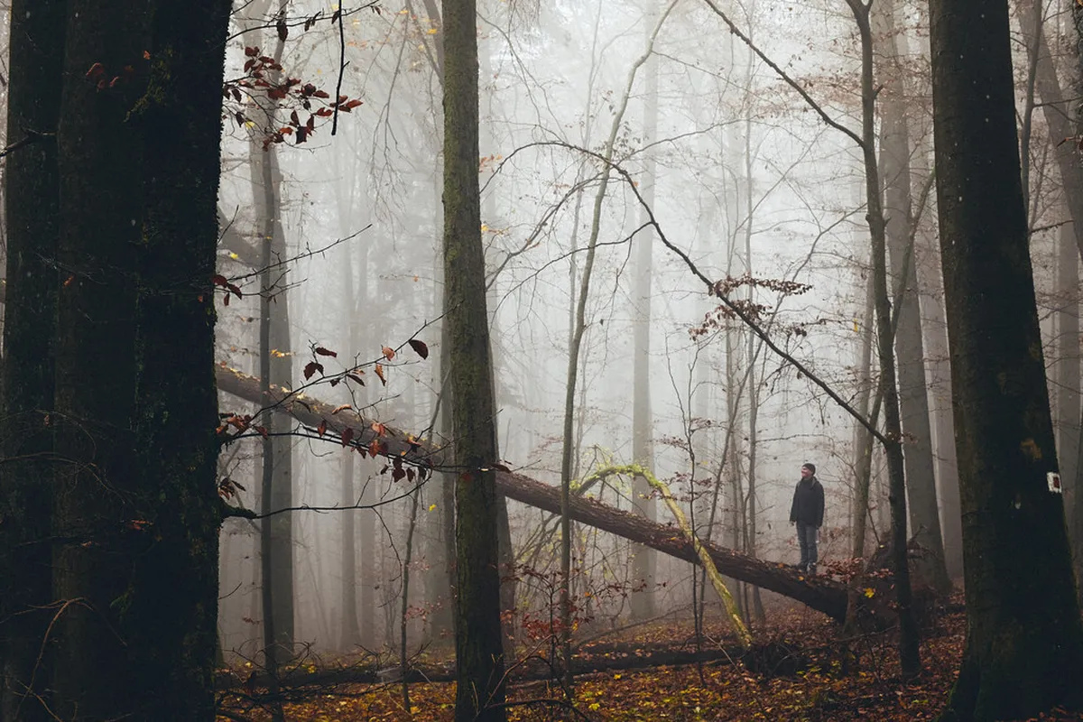 Exploring Roudná District Plzeň: A Complete 2-Day Itinerary